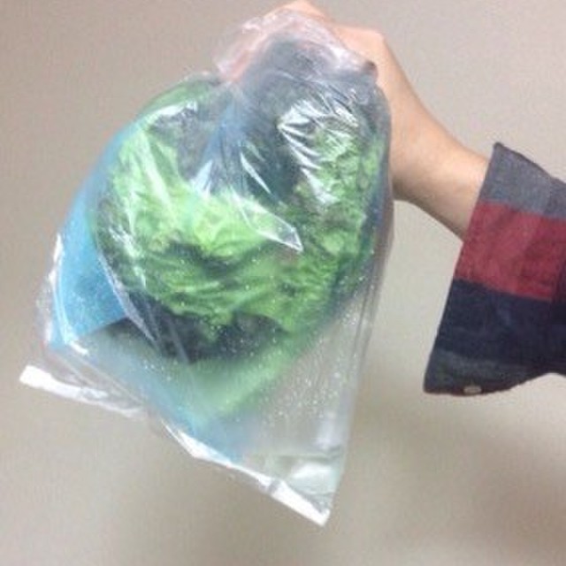 かんたん 裏技 野菜の水切り方法 レシピ 作り方 By クッキングすーちん クックパッド