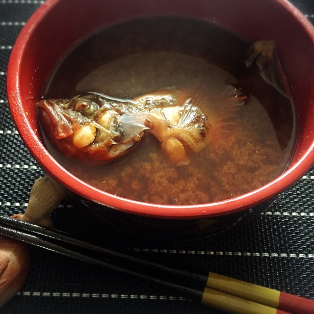 人気検索トップ10 ガシラ カサゴ味噌汁 レシピ 作り方 By とっても めーこ クックパッド 簡単おいしいみんなのレシピが354万品