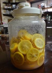 簡単調味料　レモン塩