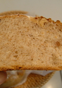 自家製酵母オーバーナイトパン