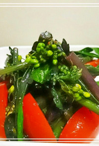 お野菜おかず：紅菜苔(紅苔菜)の塩和え