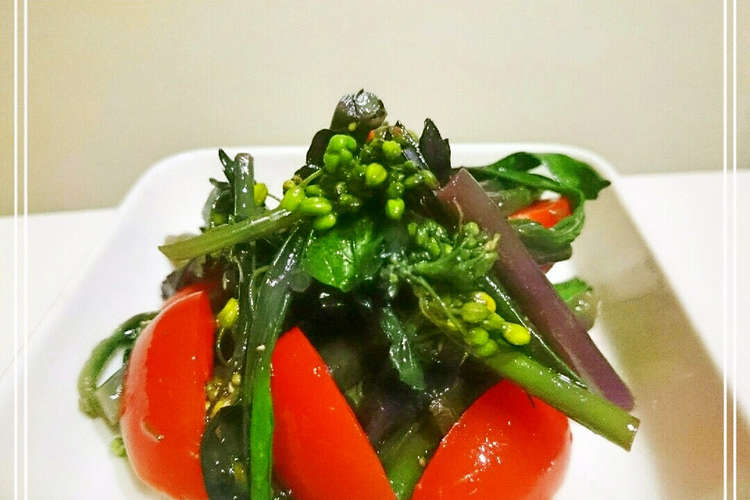 お野菜おかず 紅菜苔 紅苔菜 の塩和え レシピ 作り方 By Sweeterm クックパッド