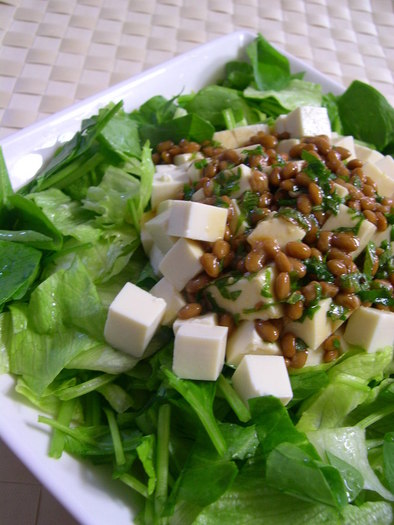 納豆ドレッシングでお豆腐のサラダの写真