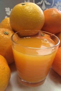 柑橘いろいろ生絞りジュース