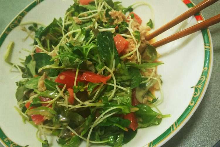 男が好きな野菜たっぷり濃厚肉サラダ レシピ 作り方 By ほりおん クックパッド 簡単おいしいみんなのレシピが367万品