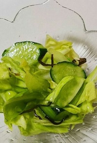 キャベツと胡瓜の浅漬け風サラダ