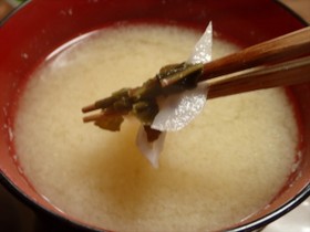 スイバと蓮根の味噌汁・食べてビックリ!