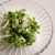 蕪(かぶ)まるごとサラダ