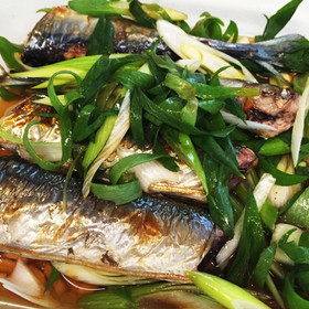 冷めてもおいしい秋刀魚のネギだれがけ