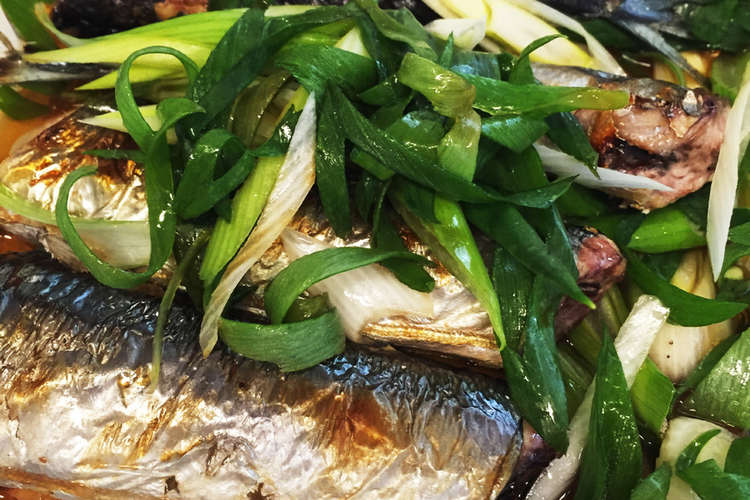 冷めてもおいしい秋刀魚のネギだれがけ レシピ 作り方 By ゆみみだるま クックパッド 簡単おいしいみんなのレシピが360万品