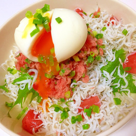 ネギトロたっぷり♡月見海鮮丼