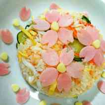 C6f55a20511352f251820a411d3e5281