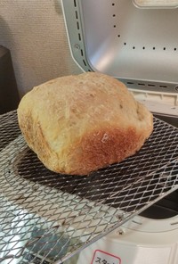 HB ノンオイル米粉パン