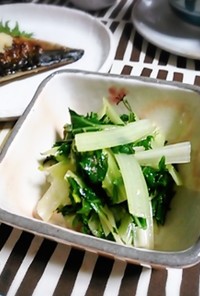 水菜（青菜）のピリリ　ナムル