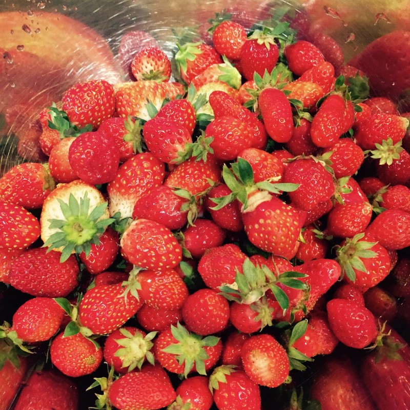 みんなが作ってる 保存 スムージーのレシピ クックパッド 簡単おいしいみんなのレシピが354万品