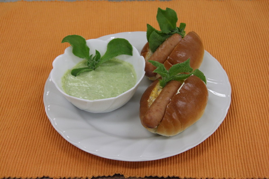 ガラミチーナクリームのリーフレット