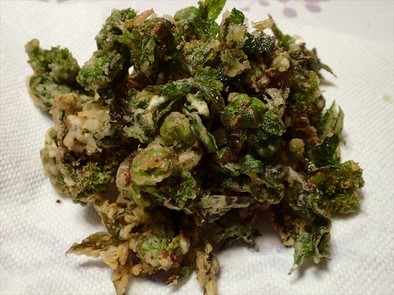 ニワトコの芽の天ぷら・食べ過ぎ注意ですの写真