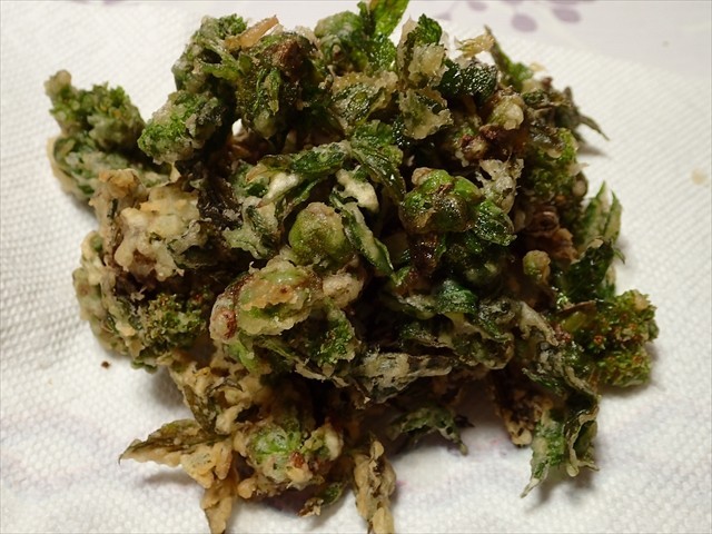 ニワトコの芽の天ぷら・食べ過ぎ注意ですの画像