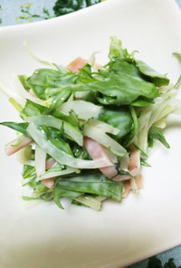 豆腐クリームの水菜と新タマネギサラダ