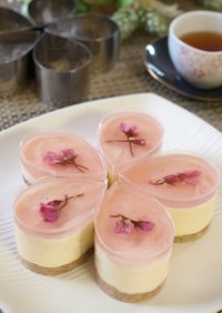 桜ホワイトレアチーズ