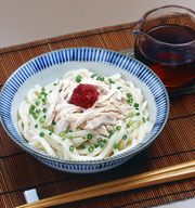 梅とささみの冷やしうどんの写真