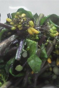 紅菜苔（コウサイタイ）の炒め物
