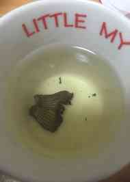 みんなが作ってる ふぐひれのレシピ クックパッド 簡単おいしいみんなのレシピが353万品