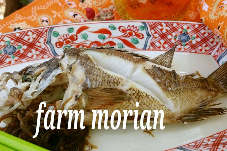 うまみ極だつ 魚のマース煮 レシピ 作り方 By もりあん農園 クックパッド 簡単おいしいみんなのレシピが375万品