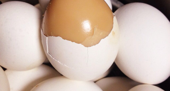 黄身が白身の中に少し落ちたらどうなるでしょうか？
