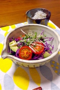 アボガドと紫キャベツの彩り塩サラダ♪簡単