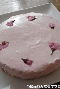 電子レンジで簡単★桜のレアチーズケーキ
