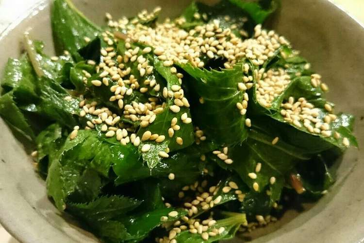明日葉の一番美味しい食べ方 ナムル レシピ 作り方 By Kuragenoie クックパッド