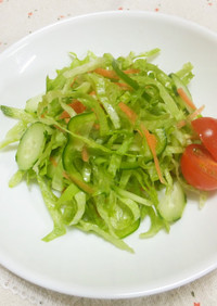 ピーマン入り千切り野菜のグリーンサラダ
