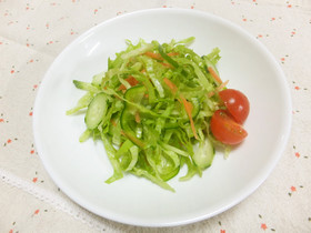 ピーマン入り千切り野菜のグリーンサラダ