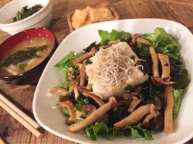 豆腐とシラスの和風サラダ