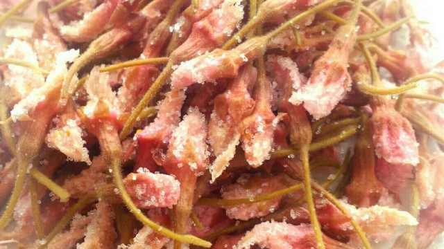 ソメイヨシノで 桜の塩漬け レシピ 作り方 By 桜 Mochi クックパッド 簡単おいしいみんなのレシピが358万品