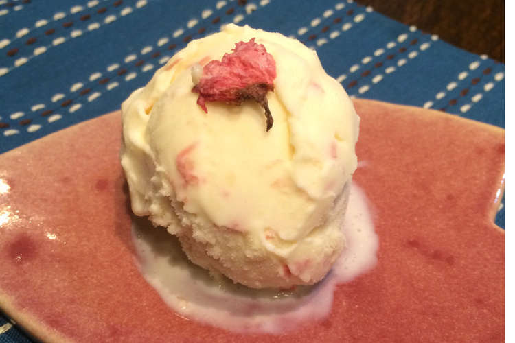 桜の花の 酒粕アイス レシピ 作り方 By Madamロシェ クックパッド 簡単おいしいみんなのレシピが349万品