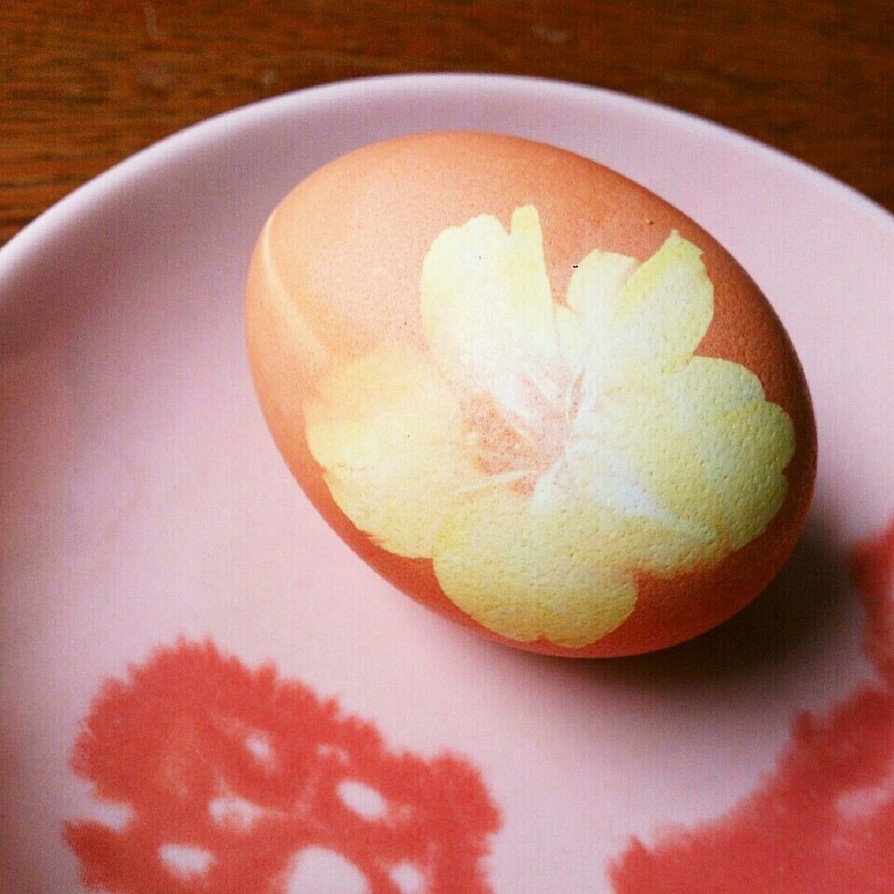 桜の花のゆで卵の画像
