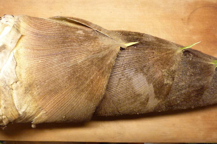 たけのこ茹で方 米の研ぎ汁 鷹の爪不要 レシピ 作り方 By 桜貝の想い出 クックパッド 簡単おいしいみんなのレシピが361万品