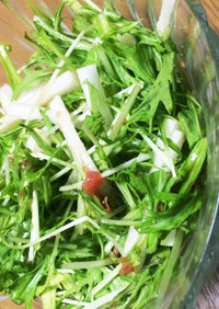 梅干ドレッシング 大根と水菜サラダ