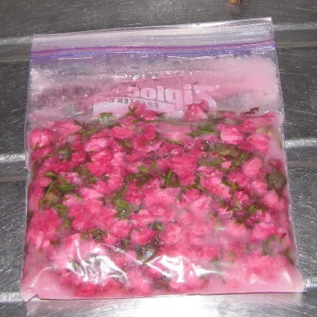 初めてでも綺麗にできる 桜の塩漬け レシピ 作り方 By 陸上ママ クックパッド 簡単おいしいみんなのレシピが349万品 初めてでも綺麗にできる 桜の塩漬け レシピ 作り方 By 陸上ママ クックパッド 簡単おいしいみんなのレシピが349万品
