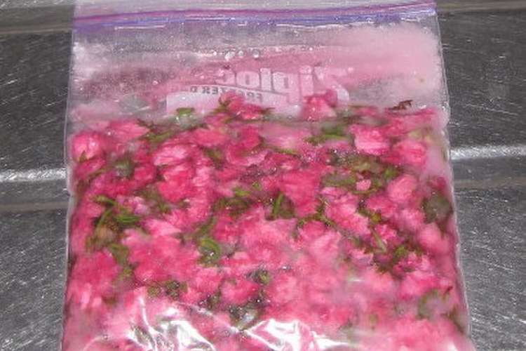 初めてでも綺麗にできる 桜の塩漬け レシピ 作り方 By 陸上ママ クックパッド 簡単おいしいみんなのレシピが357万品