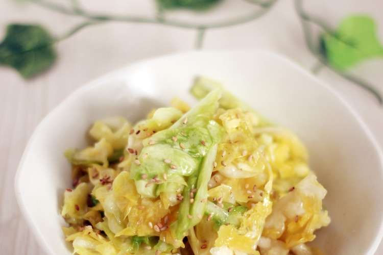 作り置きにも 春キャベツの旨塩ダレ レシピ 作り方 By りょーーーこ クックパッド 簡単おいしいみんなのレシピが359万品