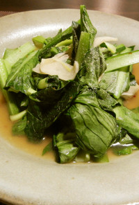 簡単！タイ料理「空芯菜の炒め」を小松菜で