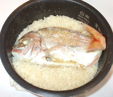 魚・鯛めし♪炊飯器で！簡単鯛炊き込みご飯の写真