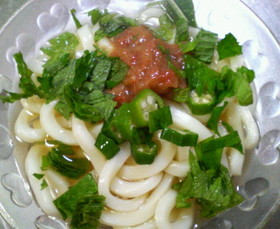 さっぱり☆梅オクラうどん