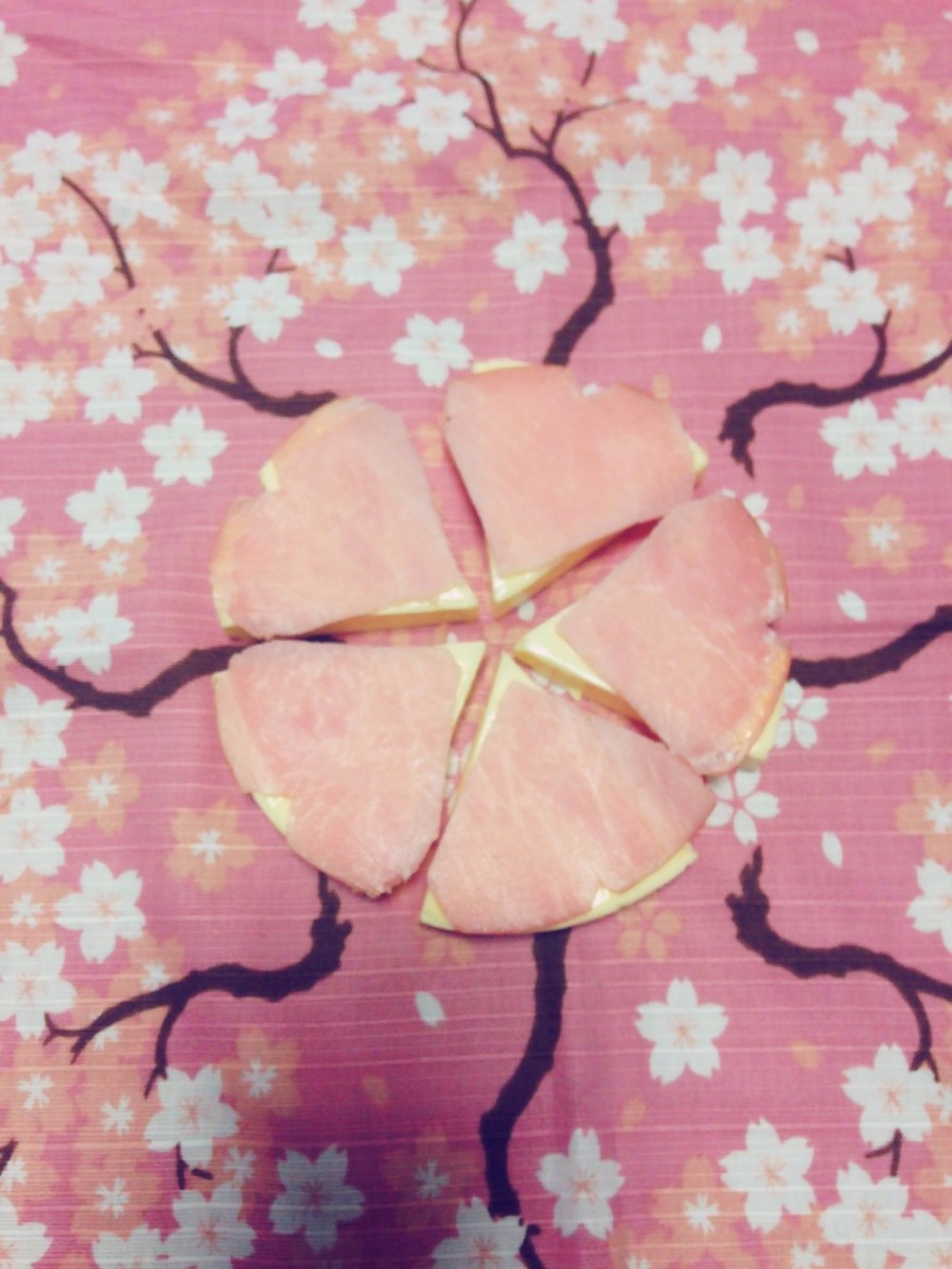 桜咲くチーズの画像
