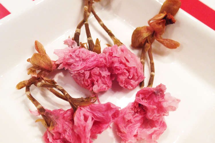 フワッと咲いた 桜の塩漬け使い方コツ レシピ 作り方 By くっきー はっぴー クックパッド 簡単おいしいみんなのレシピが358万品