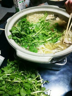 シャキシャキクレソン鍋(せり鍋代わりに)