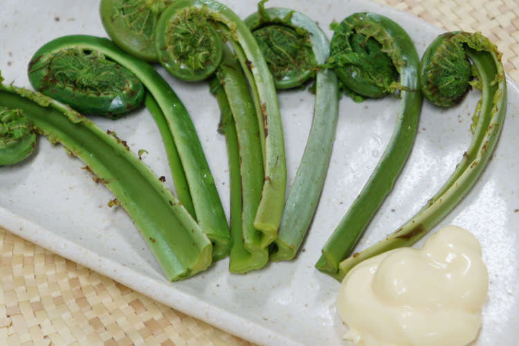 旬 春の香り こごみ 簡単下処理 山菜 レシピ 作り方 By ワタリ クックパッド 簡単おいしいみんなのレシピが352万品